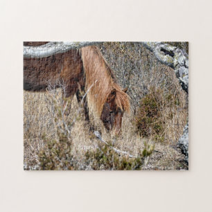 Puzzle Cheval sauvage d'Assateague Jigwaw
