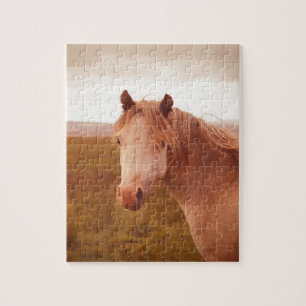 Puzzle cheval sauvage vintage