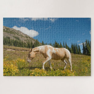 Puzzle Cheval sur les herbes dans une prairie alpine en é
