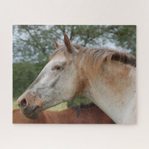 Puzzle Cheval tacheté