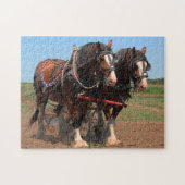 Puzzle Chevaux Clydesdale Plowers. (Horizontal)