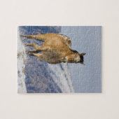 Puzzle Chevaux courant dans la neige (Horizontal)
