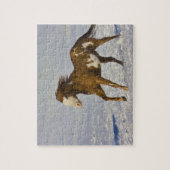 Puzzle Chevaux courant dans la neige (Vertical)