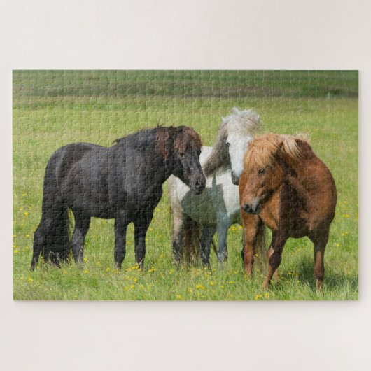 Puzzle Chevaux dans le ranch, sud de l'Islande (Horizontal)