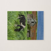Puzzle Chevaux dans un champ dans la Palouse 2 (Horizontal)