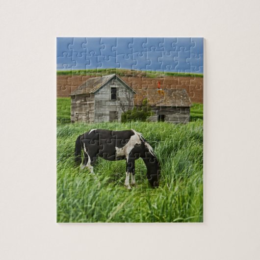 Puzzle Chevaux dans un champ dans la Palouse 2 (Vertical)