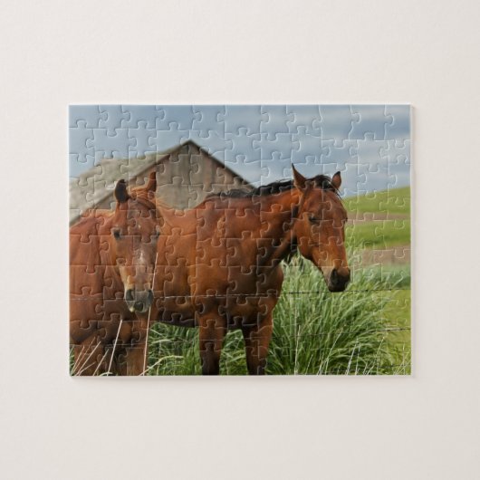 Puzzle Chevaux dans un champ dans le Palouse 3 (Horizontal)