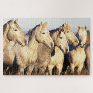 Puzzle Chevaux de Camargue (Eguus caballus)