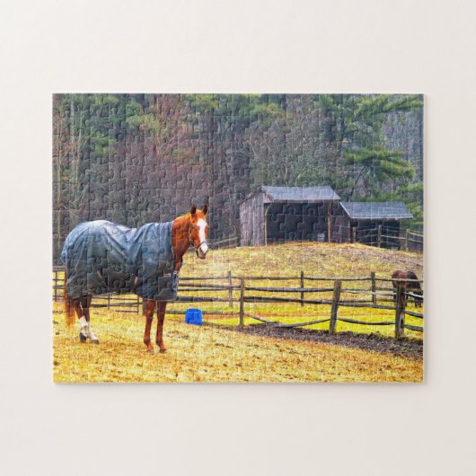 Puzzle Chevaux du New Hampshire. (Horizontal)