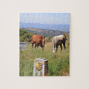 Puzzle Chevaux et courrier de marqueur de coquille, EL