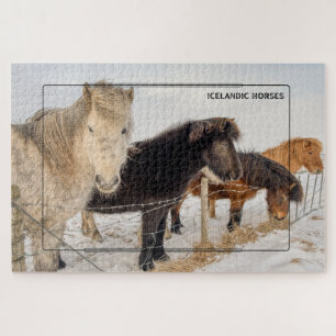 Puzzle Chevaux islandais majestueux