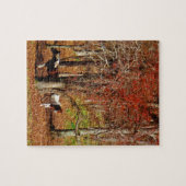 Puzzle Chevaux jumeaux Brown et blancs (Horizontal)