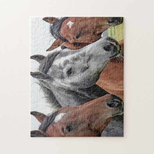 Puzzle Chevaux mignons (Vertical)