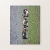 puzzle - Chevaux peints (Vertical)