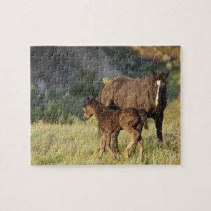 Puzzle Chevaux sauvages au parc national Theodore Rooseve