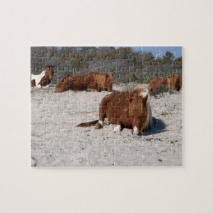 Puzzle Chevaux Sauvages Faisant la Sieste au Parc Nationa