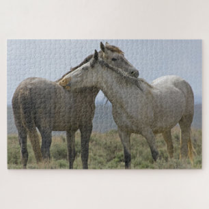 Puzzle Chevaux sauvages se caressant