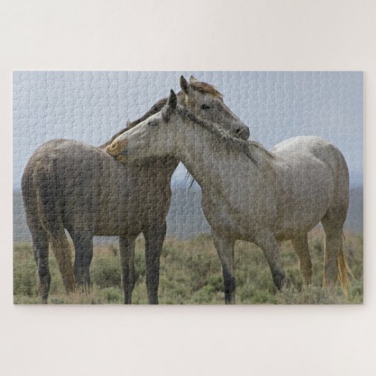 Puzzle Chevaux sauvages se caressant (Horizontal)