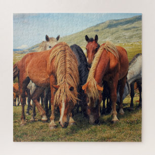 Puzzle Chevaux sauvages Vie Nature Scène