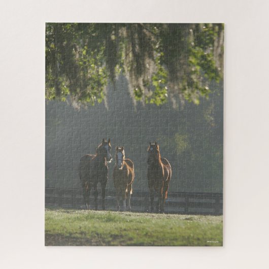Puzzle Chevaux trois quarts debout dans la fosse (Vertical)