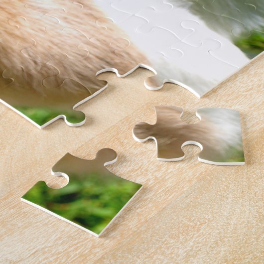 Puzzle Chèvre adorable de bébé (Côté)