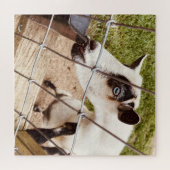 Puzzle chèvre aux yeux bleus (Horizontal)