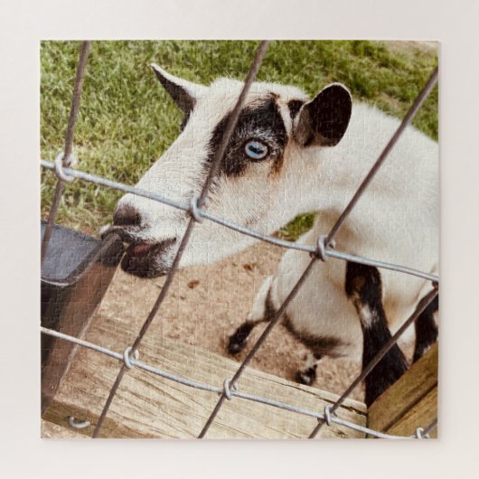 Puzzle chèvre aux yeux bleus (Vertical)