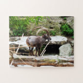 Puzzle Chèvre de montagne (Horizontal)