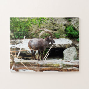 Puzzle Chèvre de montagne