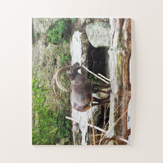 Puzzle Chèvre de montagne (Vertical)