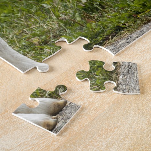 Puzzle Chèvre noire et blanche (Côté)