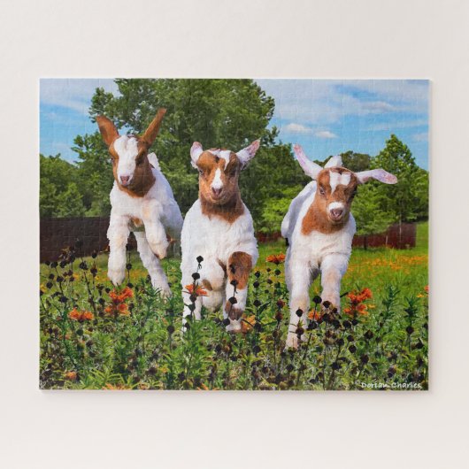 Puzzle "Chèvres bébés" (Horizontal)