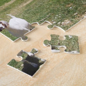 Puzzle Chèvres curieuses (Côté)