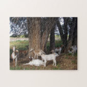 Puzzle Chèvres dans le triage (Horizontal)