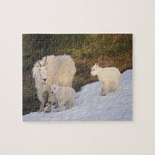 Puzzle chèvres des montagnes