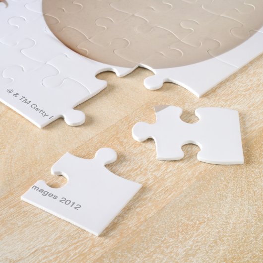 Puzzle Chick with egg (2 days old) (Côté)