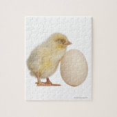 Puzzle Chick with egg (2 days old) (Vertical)