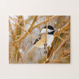 Puzzle Chickadee au plafond noir - Photo originale