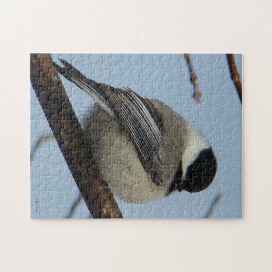 Puzzle Chickadee B21 couvert noir (Horizontal)
