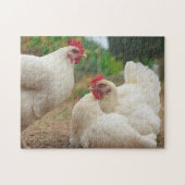 Puzzle Chicken Funky Hen Hy Line Silver Brown (Horizontal)