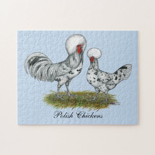 Puzzle Chickens de Polish (Horizontal)