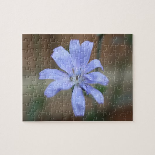 Puzzle Chicorée (Horizontal)