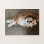 Puzzle Chien (Horizontal)
