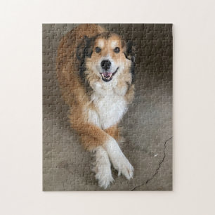Puzzle Chien