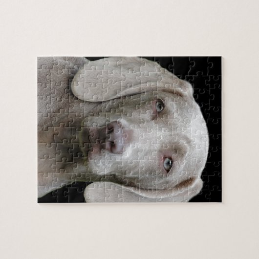 Puzzle chien (Horizontal)