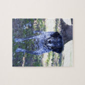 Puzzle Chien 5 (Horizontal)