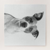 Puzzle Chien À Cheveux Courte En Gris (Noir & Blanc) (Horizontal)