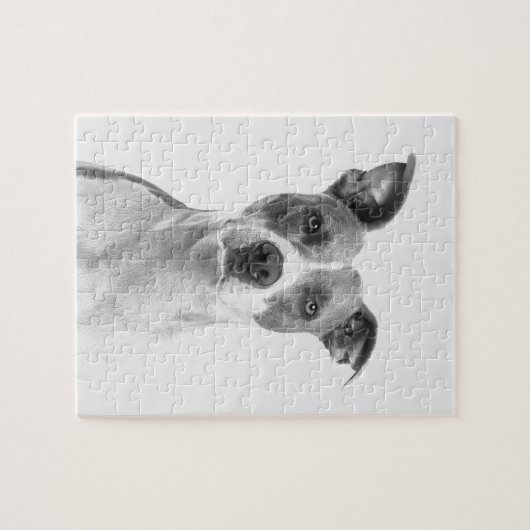 Puzzle Chien À Cheveux Courte En Gris (Noir & Blanc) (Horizontal)