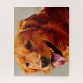 Puzzle Chien à couture irlandais. (Vertical)