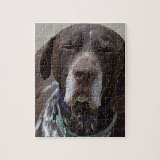 Puzzle Chien allemand d'indicateur aux cheveux courts (Vertical)